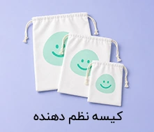کیسه نظم دهنده